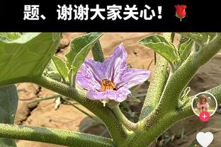 得分全队最高！托平首节4中3得到7分1板